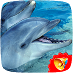 Cover Image of Tải xuống Dolphin Sounds  APK