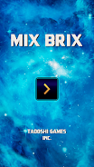 Mix Brix Puzzle