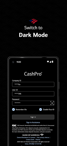 Screenshot of CashPro