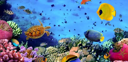 Aquarium Wallpaper Live
