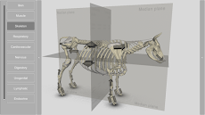 3D Bovine Anatomyのおすすめ画像5
