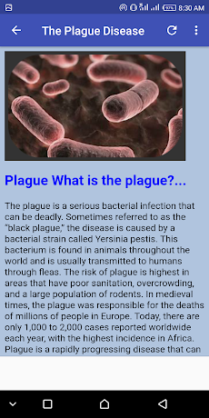 Plague Diseaseのおすすめ画像3
