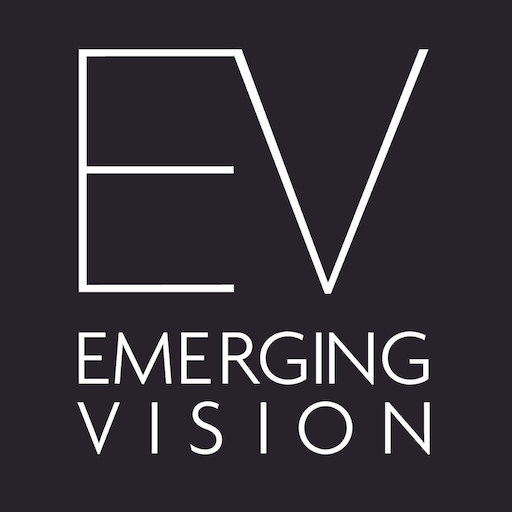 EVI National Meeting logo