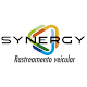 Synergy Pour PC
