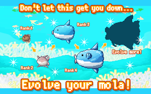 Survive! Mola mola! For PC installation