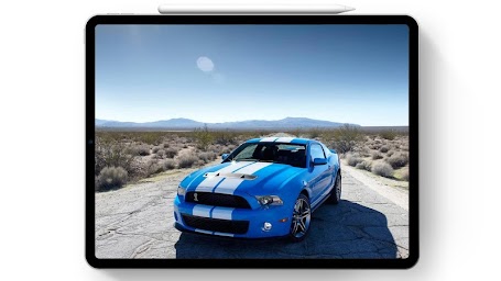 Wallpaper For Cool Mustang Shelby Fans