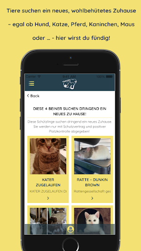 Get Your Pet Screen 2