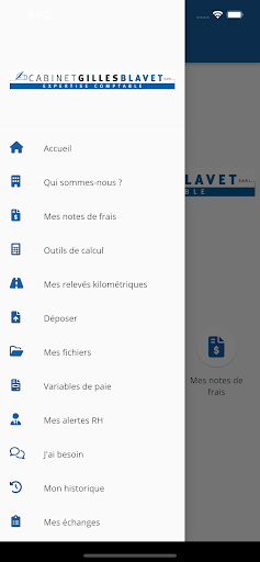 Cabinet Gilles Blavet Screen 3