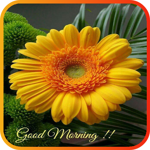 Good Morning Flowers - Apps on Google Play