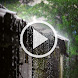 Rain Video Wallpaper RDT - Androidアプリ