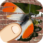 Top 44 Puzzle Apps Like Butterflies, scratch and guess which one is hiding - Best Alternatives