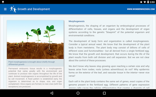 Growth and Development