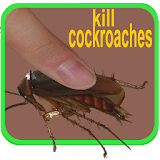 kill cockroaches icon