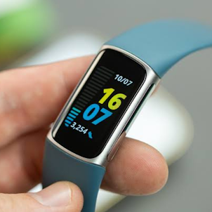 Fitbit | Charge 5 Smart Guide