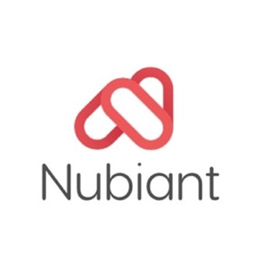 Nubiant BOX logo