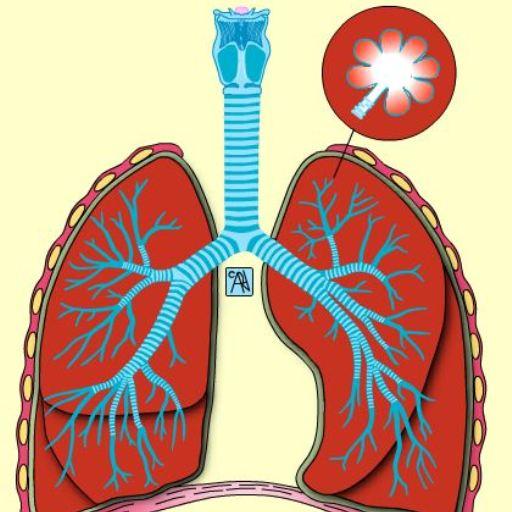 Learn Medical Terminology 1.5 Icon