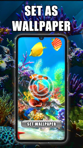 Android application Aquarium Live Wallpaper screenshort