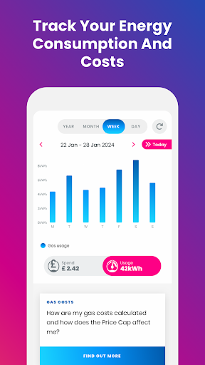 Loop Energy - Smart Meter App Screen 2