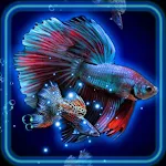 Cover Image of Download Aquarium Neon Theme  APK