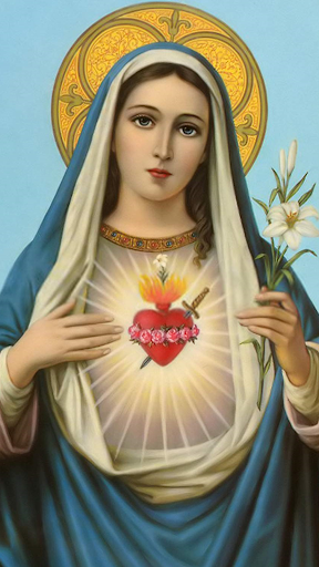 Android application Mother Mary Wallpaper screenshort
