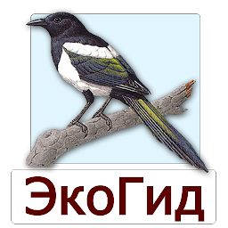 Icon image EcoGuide: Russian Birds