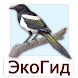 ЭкоГид: Птицы средней полосы - Androidアプリ