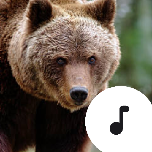 Bear Sounds  Icon
