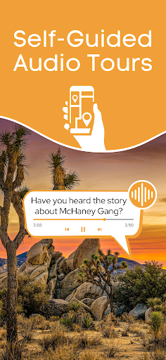 Screenshot of Joshua Tree National Park Tour