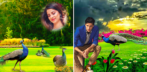 Peacock Photo Frames & Editor