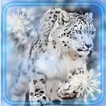 Cover Image of ダウンロード Snow Leopard Mountains 1.2 APK