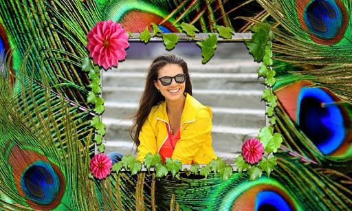 Peacock Feather PhotoFrames HD Screen 3