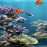 Live Wallpaper Aquarium icon