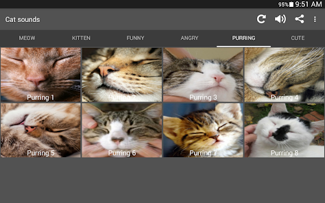 Cat Sounds - Meow Noises - Apps on Google Play