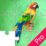 Jigsaw Birds Collection Puzzle 1- Educational Game