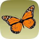 Cover Image of Download Schmetterlinge bestimmen  APK