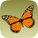 Schmetterlinge bestimmen - Androidアプリ