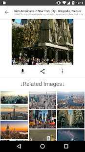 ImageSearchMan - Image Search Screenshot