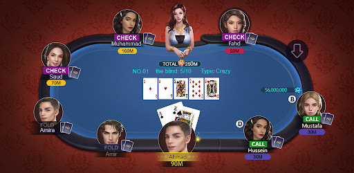 Conquer Poker - Texas Hold'em cover