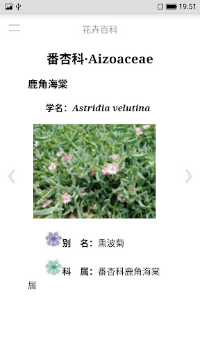 花卉百科 Screen 3