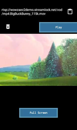 rtsp Player Screen 2