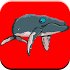 Fun Whale & My Dolphin Show Game For Kids Free🐋🐬1.1