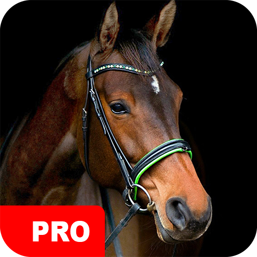 Horse Wallpapers PRO logo