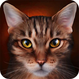 Tabby cat Live Wallpaper icon