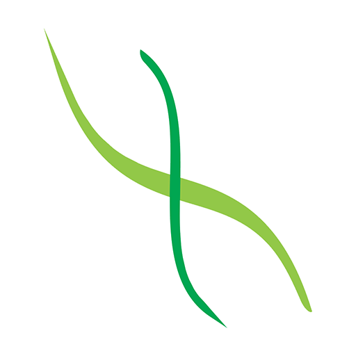 Franchini Farma logo
