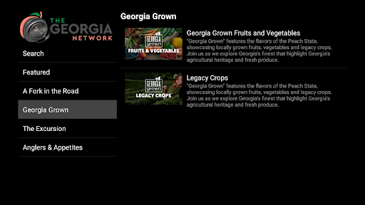 Screenshot of Georgia Network TV