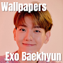 Exo Baekhyun Wallpaper