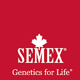 Semex Events icon