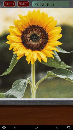 Android application Flower Puzzle screenshort