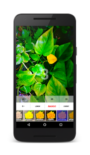 JS Camera - Filters Collage