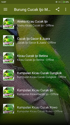 Suara Burung Cucak Ijo Mini Screen 2